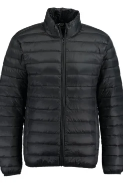 Jassen<America Today Gewatteerde jas Black|Army