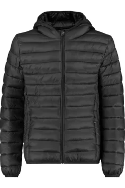 Jassen<America Today Gewatteerde jas capuchon Black|Midnight|Red|Hardgreen