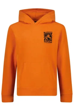 Truien & Vesten|Sweaters & hoodies<America Today Hoodie Stern hood JR Orange