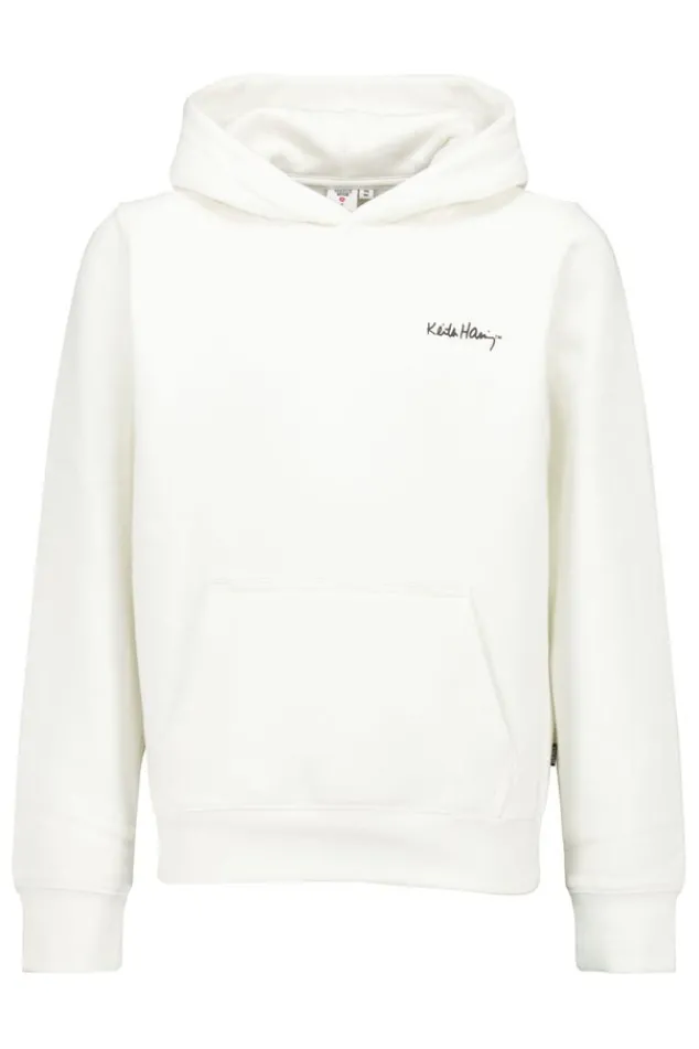 Truien & Vesten<America Today Hoodie Stuart hood JR Offwhite