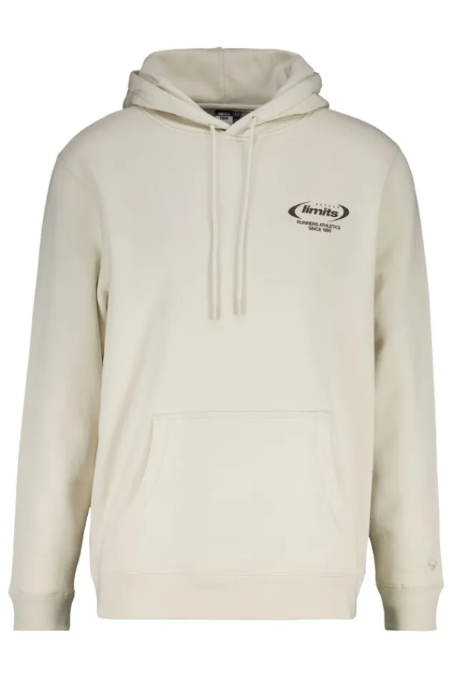 Truien & Vesten|Sweaters & hoodies<America Today Hoodie Sylver hood Kit