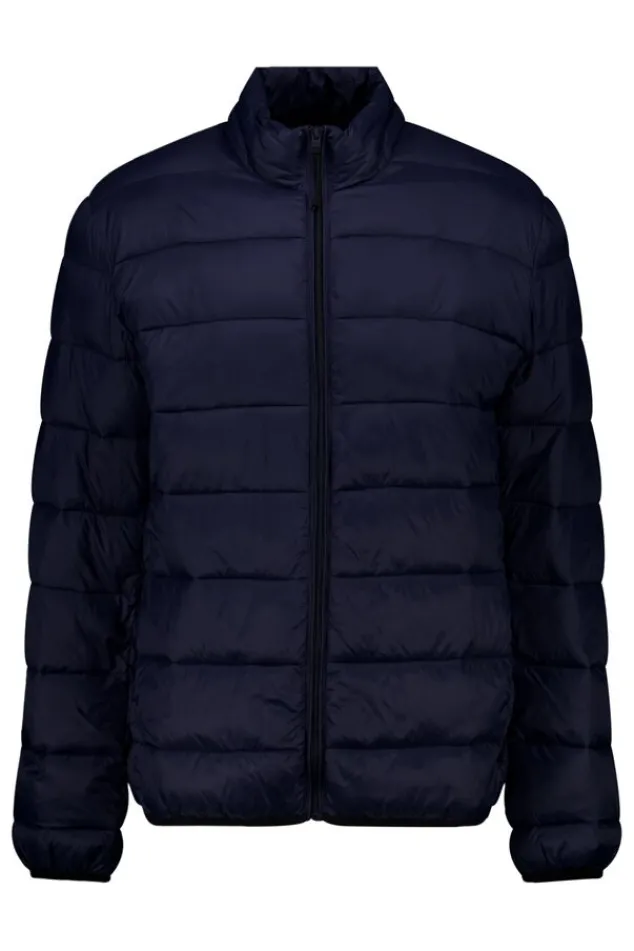 Jassen<America Today Jas Jim Black|Darkblue|Green