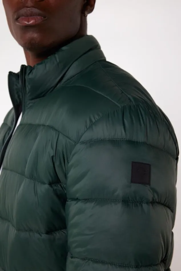 Jassen<America Today Jas Jim Black|Green