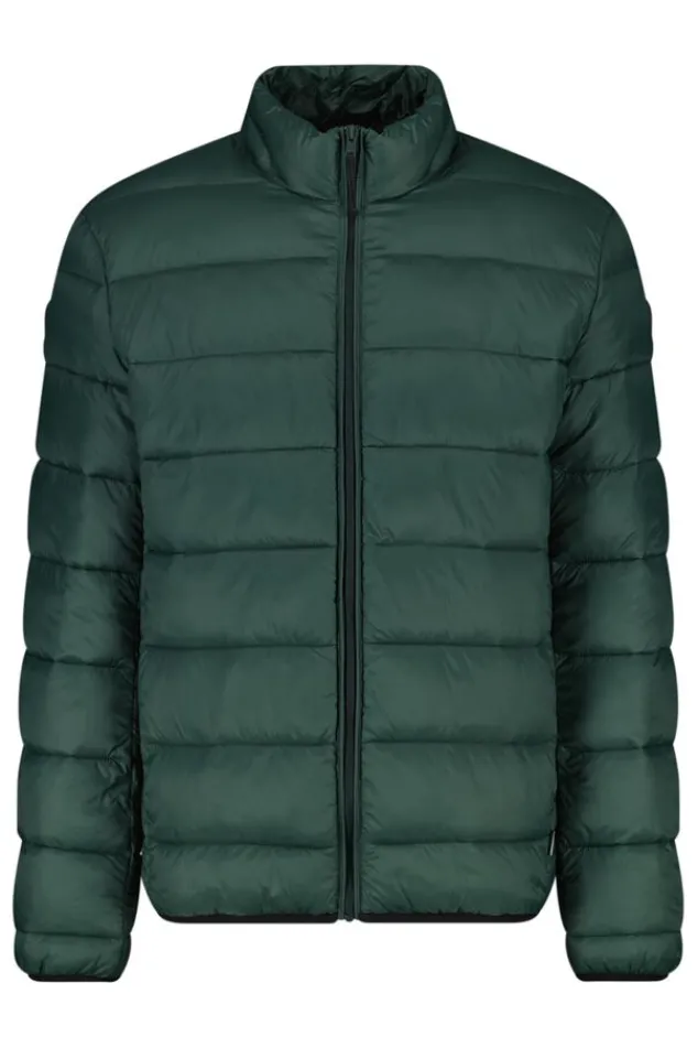 Jassen<America Today Jas Jim Black|Green