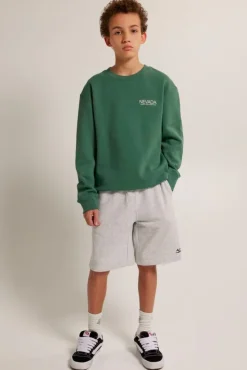 Truien & Vesten|Sweaters & hoodies<America Today Sweater Sky Crew JR Lightgrey|Greencast