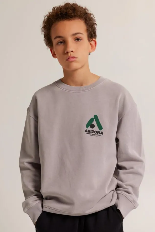 Truien & Vesten|Sweaters & hoodies<America Today Sweater Sky Crew JR Lightgrey|Greencast