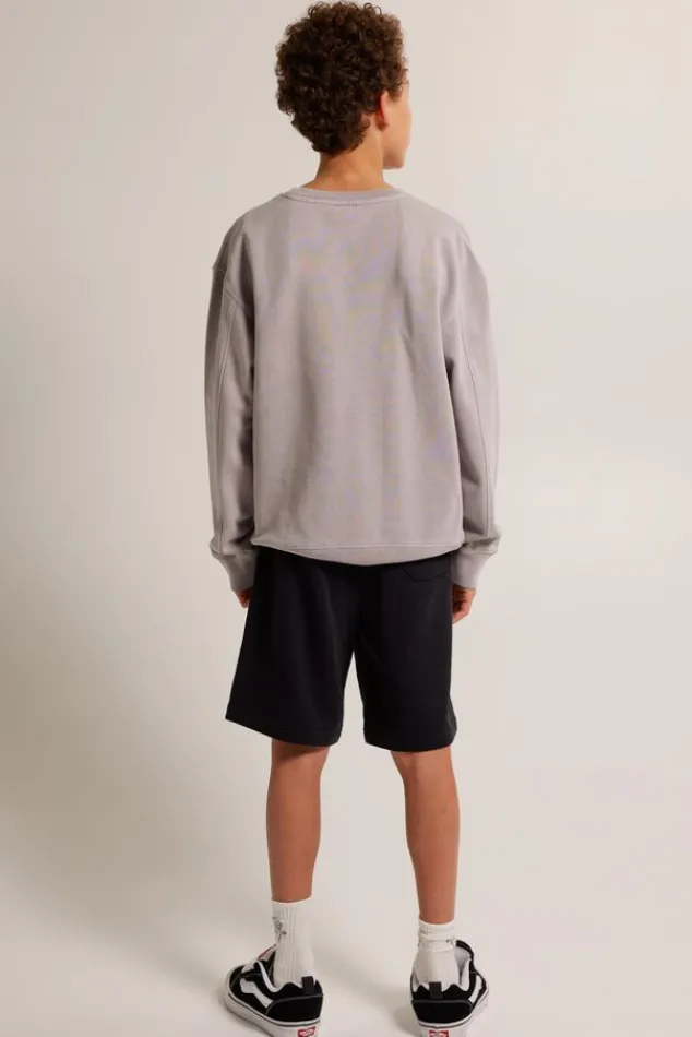 Truien & Vesten|Sweaters & hoodies<America Today Sweater Sky Crew JR Lightgrey|Greencast
