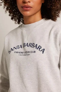 Truien & Vesten|Sweaters & hoodies<America Today Sweater Skyler Lightgreymelange|Babyblue