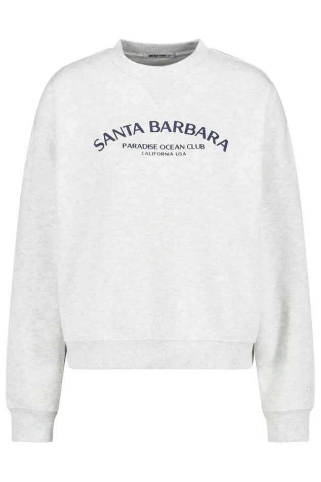 Truien & Vesten|Sweaters & hoodies<America Today Sweater Skyler Lightgreymelange|Babyblue