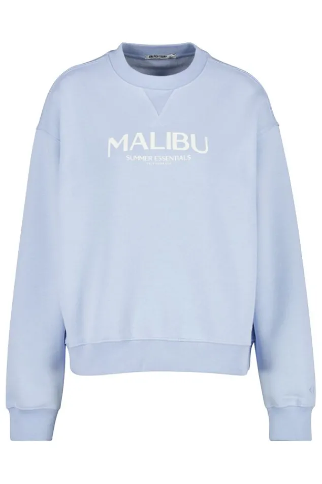 Truien & Vesten|Sweaters & hoodies<America Today Sweater Skyler Lightgreymelange|Babyblue