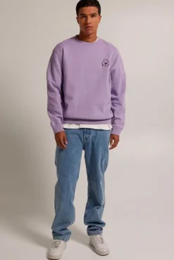 Sweaters & hoodies|Truien & Vesten<America Today Sweater Stan Crew Lilac