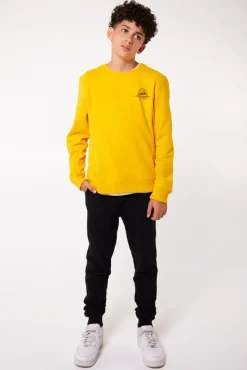 Truien & Vesten|Sweaters & hoodies<America Today Sweater Stray Crew JR Yellow