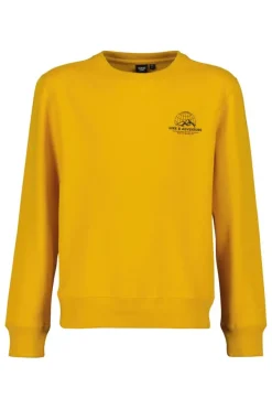 Truien & Vesten|Sweaters & hoodies<America Today Sweater Stray Crew JR Yellow