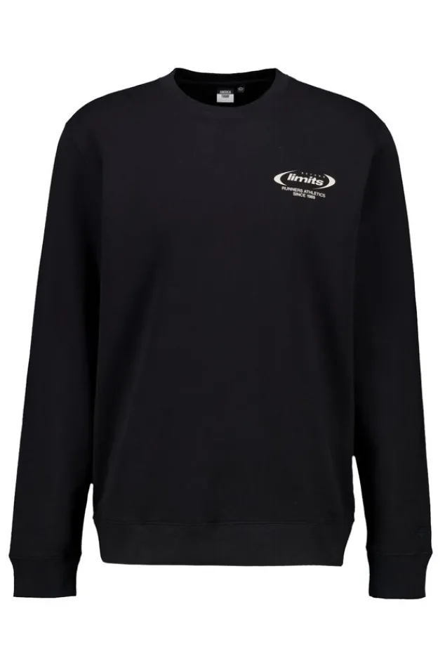 Truien & Vesten|Sweaters & hoodies<America Today Sweater Sylver crew Washedblack