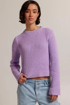 Truien & Vesten<America Today Trui Koko Lilac/purple|Kit