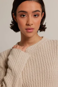 Truien & Vesten<America Today Trui Koko Lilac/purple|Kit