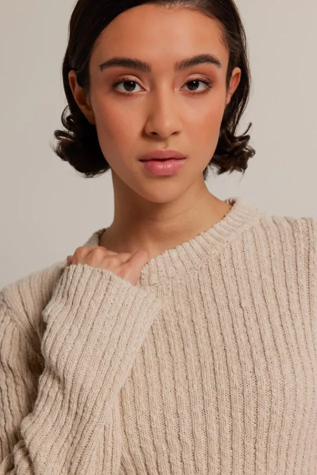 Truien & Vesten<America Today Trui Koko Lilac/purple|Kit